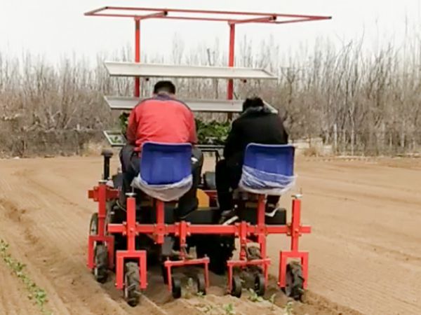 兩行牽引式茄子移栽機(jī)